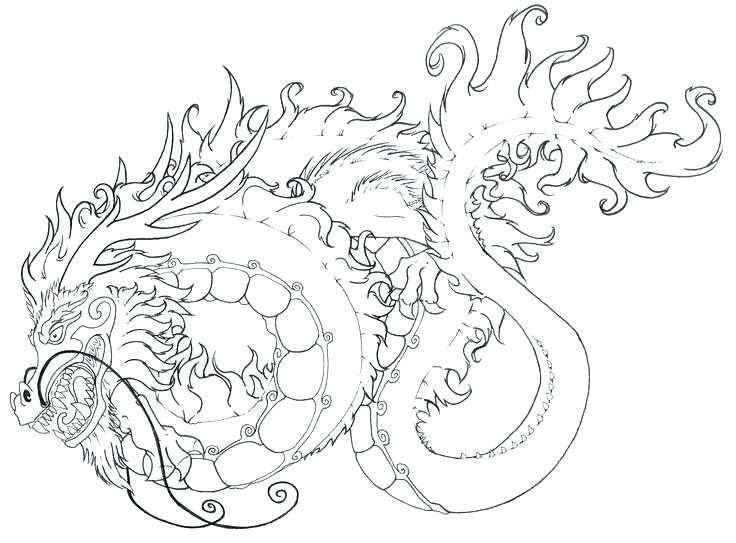736x543 Cat Coloring Pages For Adults Plus Cute Coloring Pages For Adults