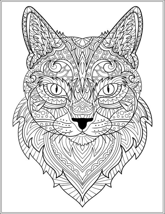 570x736 Cat Coloring Pages For Adults Simple 631 Best Colouring