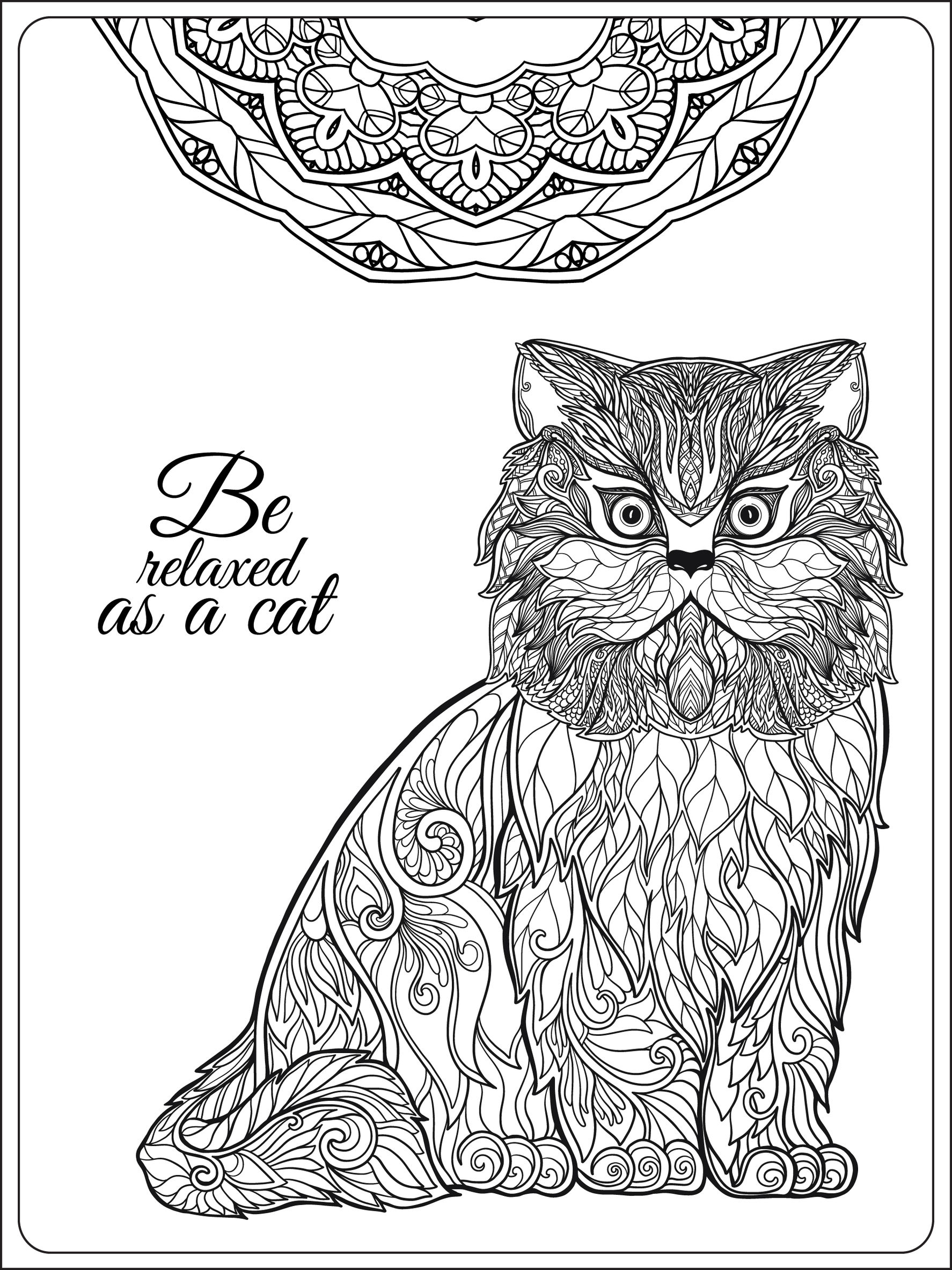 1774x2365 Pet