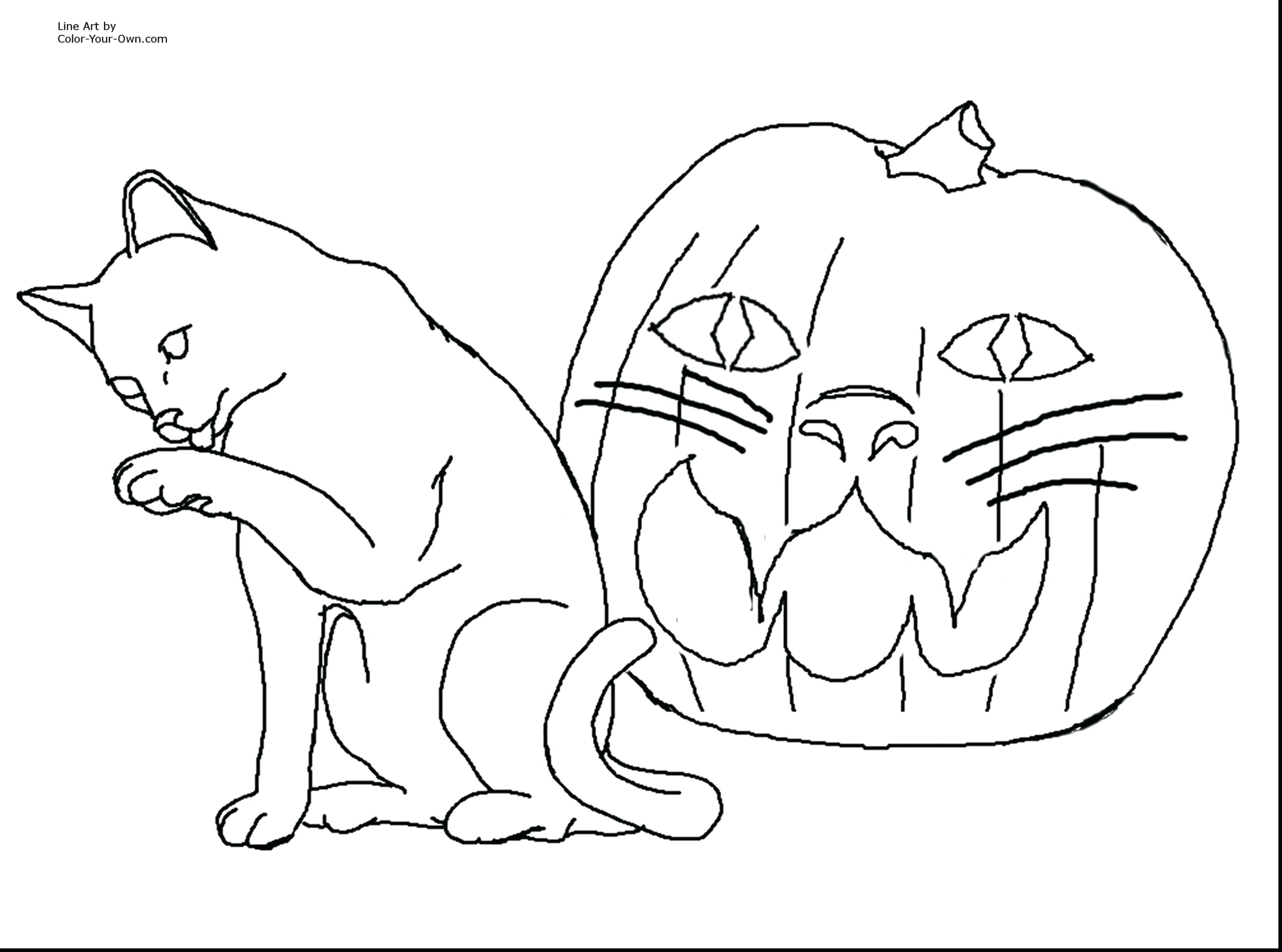 3555x2640 Best Of Cat Coloring Pages For Adults Coloring Page Free