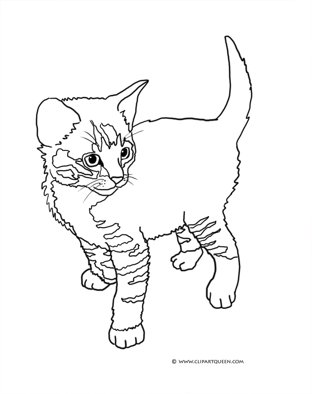 1063x1341 Surprise Kitten Pictures To Colour Cat Colorin