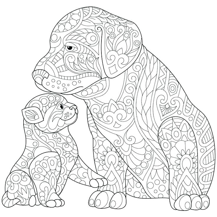 736x736 Coloring Pages For Kids Dogs Coloring Pages Cat And Dog Coloring