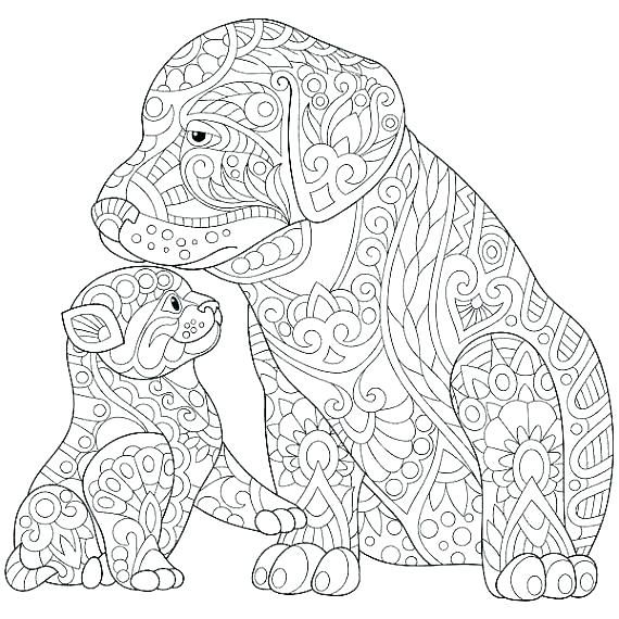 570x570 Printable Cat Coloring Pages For Adults Free Printable Cat