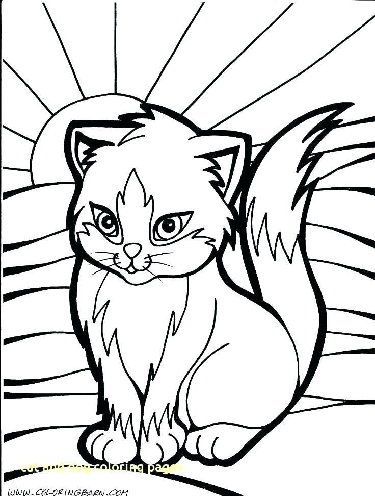 736x972 Kitty Cat Coloring Pages Printable Kids Coloring Printable Cat