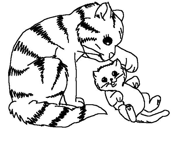 600x500 Coloring Pages Cat