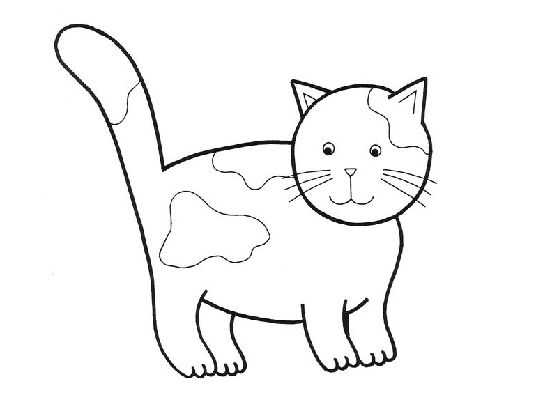 769x577 Preschool Coloring Pages Cats Bgcentrum
