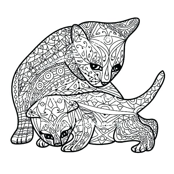 Cat Coloring Pages Free Printable