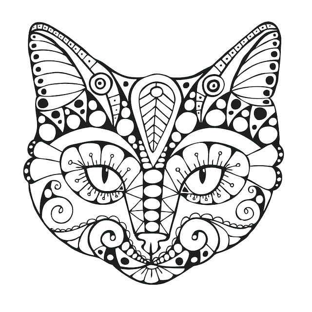 640x640 Cat Coloring Pages Simple Cat Coloring Pages Cat Colouring