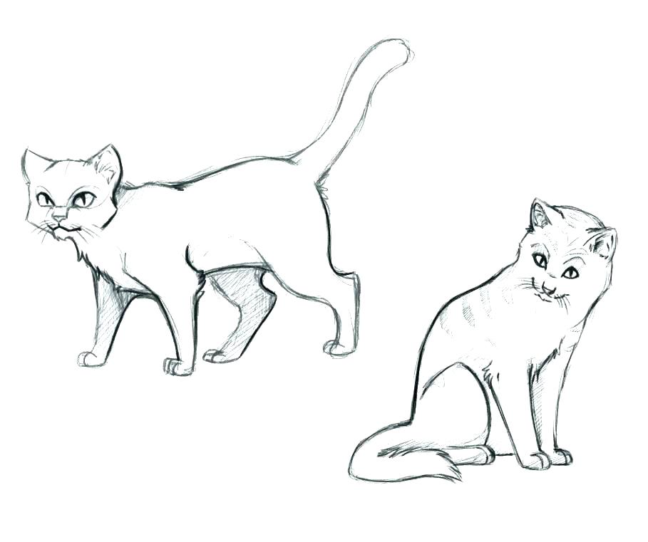 909x761 Cat Coloring Pages Online Warrior Cat Coloring Pages Color Pages