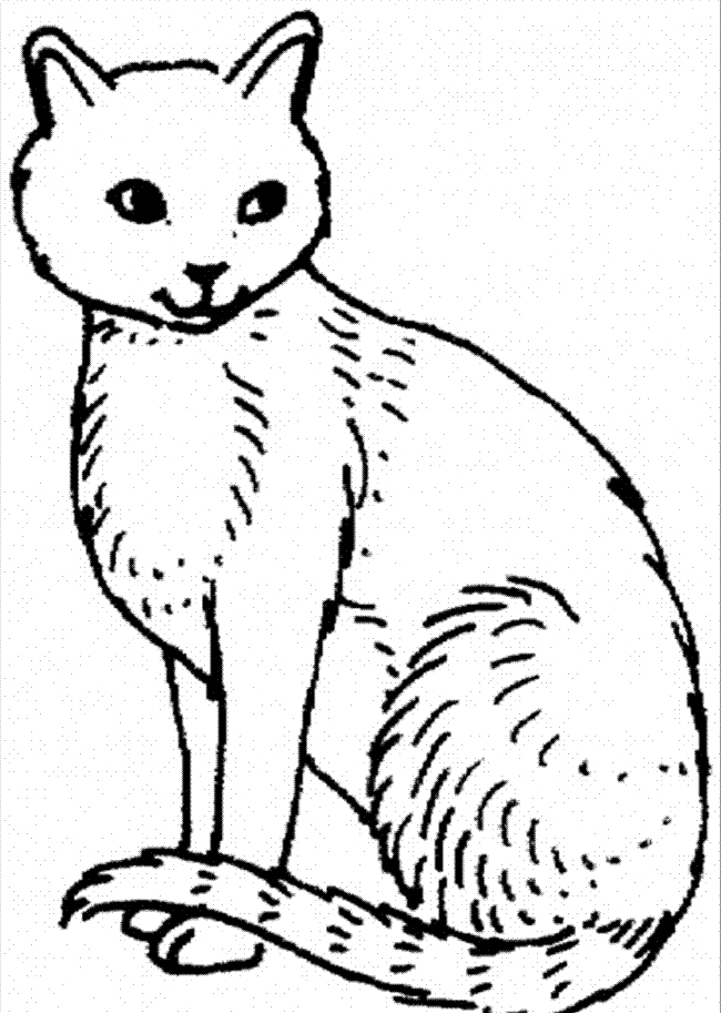 Cat Coloring Pages Printable Free