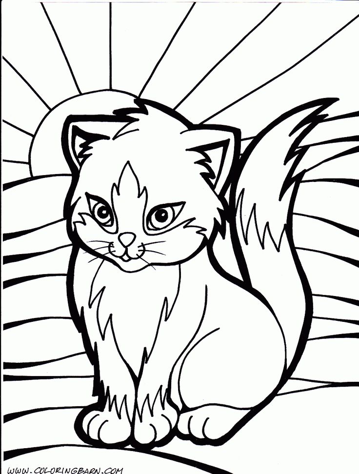 736x972 519 Best Coloring Page Images On Adult Coloring
