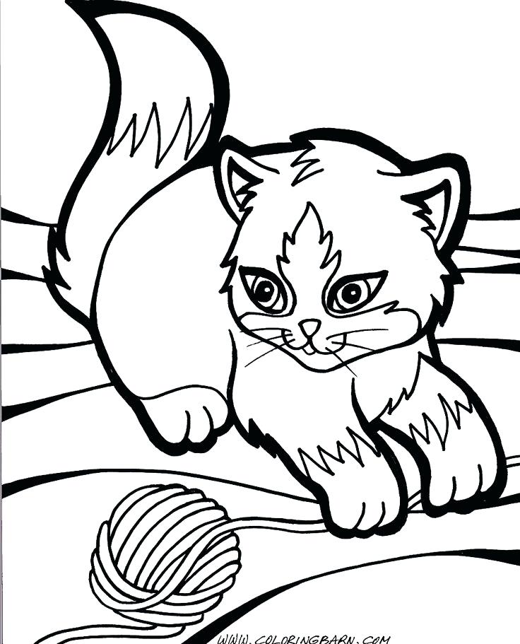 736x911 Kitty Cat Coloring Pages Printable Cute Anime Simple Ideas Best