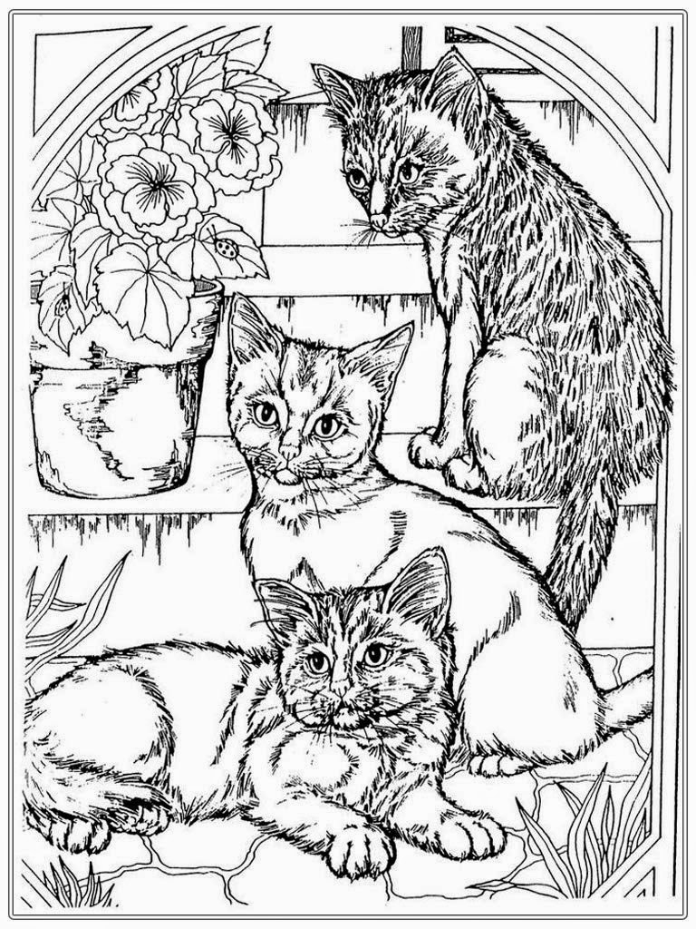 768x1024 Best Of Marvelous Turtle Coloring Pages To Print With Cute Cat