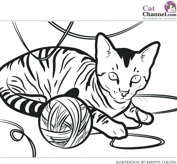 600x557 Cartoon Cat Coloring Pages Fresh Cat Coloring Page New Tabby Pages