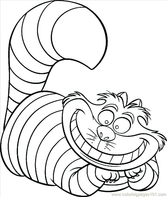 650x763 Cat Color Page Cat Color Coloring Page Black Cat Color Page