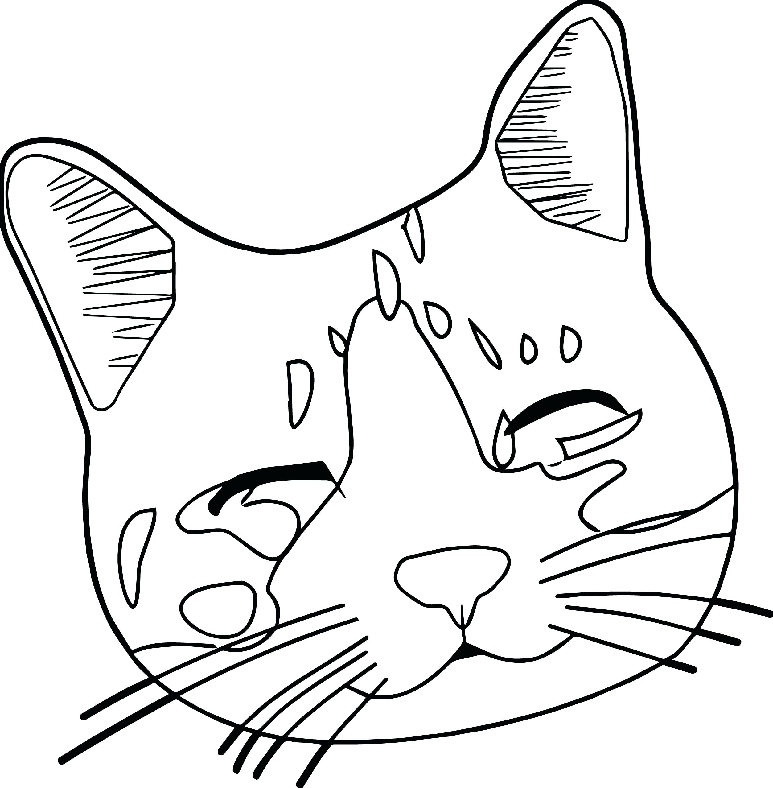 2507x2555 Security Cat Face Coloring Page Pages Color Bros