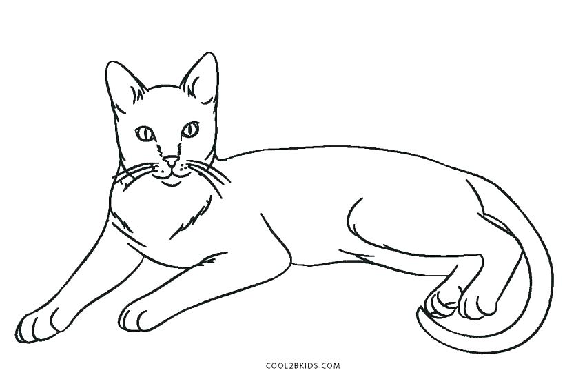 820x547 Two Face Coloring Pages Two Face Coloring Pages Monkey Face