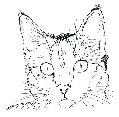400x395 Cat Face Coloring Page Cat Face Coloring Page Drawn Cat Cat Head 2