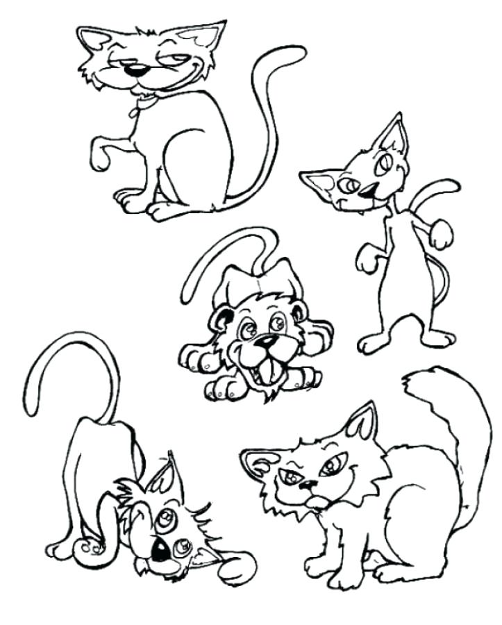 723x900 Coloring Page Of A Cat Impair.co