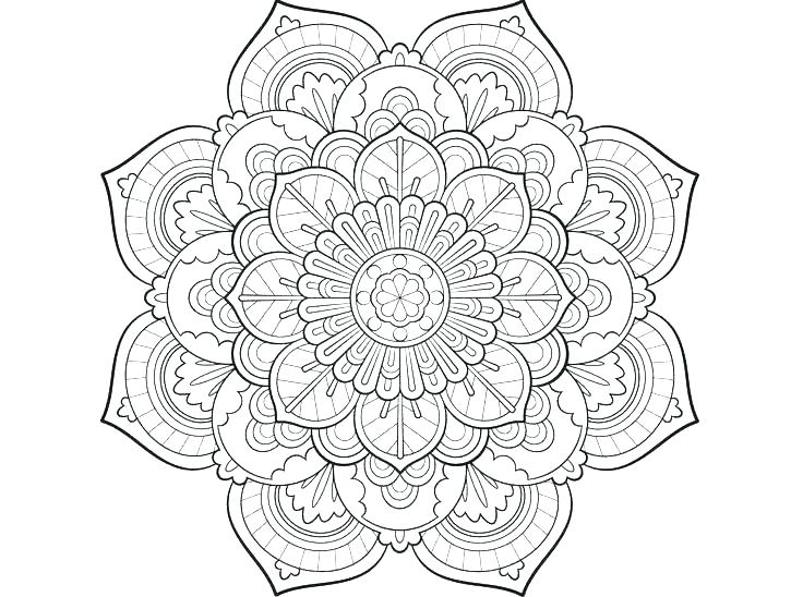 736x548 Cat Mandala Coloring Pages Devon Creamteas