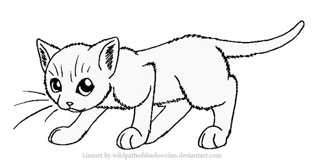 1024x528 Cat Coloring Pages For Kids Cat Coloring Pages Printable Coloring