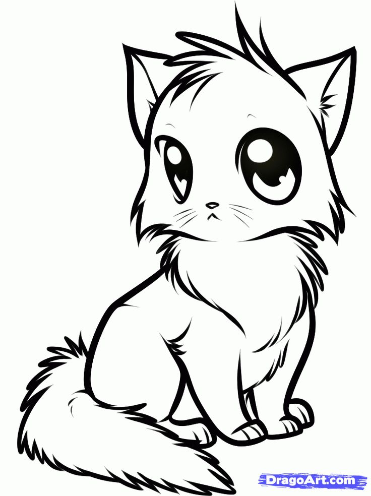 736x984 Strikingly Beautiful Cats Coloring Pages Cat Free And Printable