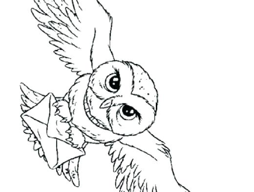 520x393 Pete The Cat Coloring Sheet