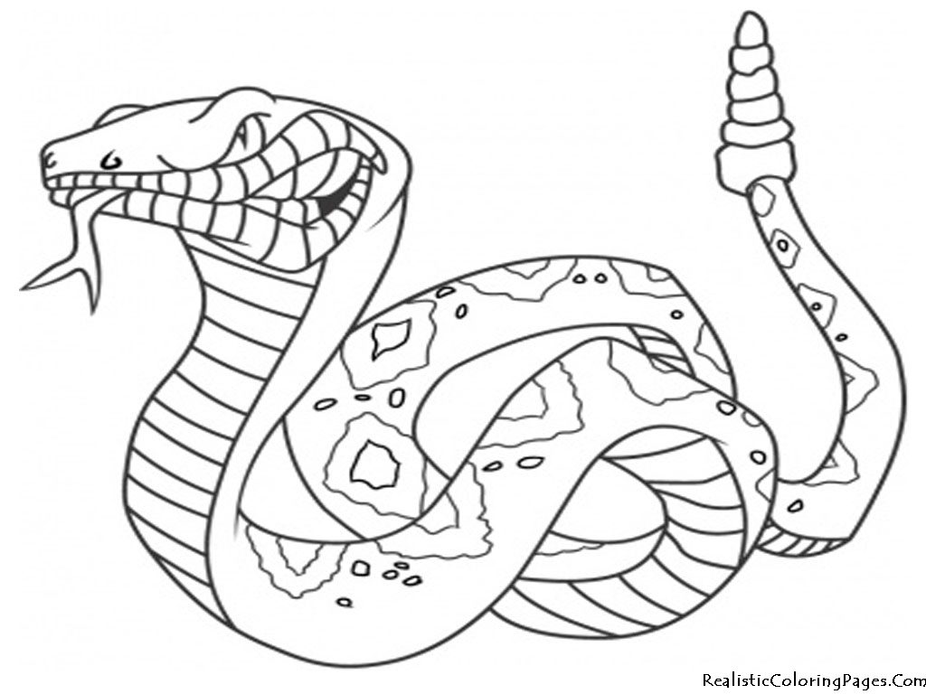 1024x768 Fire Coloring Pages Resume Ideas My Little Pet Shop Coloring Pages