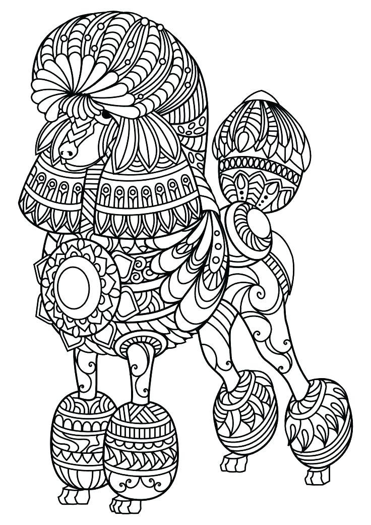 736x1040 Catdog Coloring Pages Coloring Pages Dog And Cat Coloring Pages