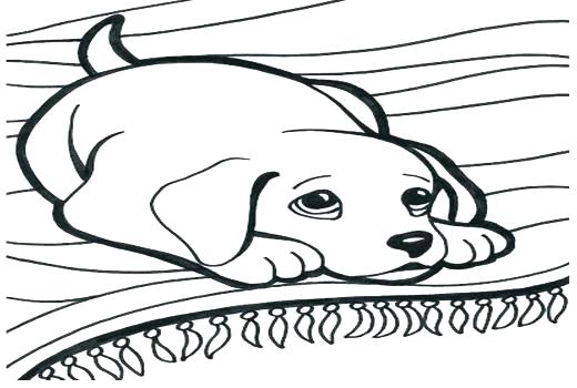 520x350 Cat Dog Coloring Pages Cat Coloring Pages Coloring Sheets Cats