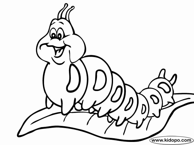 630x470 Caterpillar And Butterfly Coloring Pages Ohmygirl.us