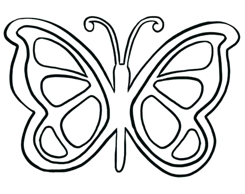 800x635 List Of Beautiful Caterpillar And Butterfly Coloring Pages