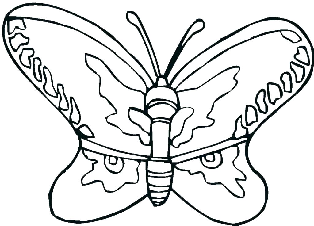 1024x737 Butterfly Coloring Pages