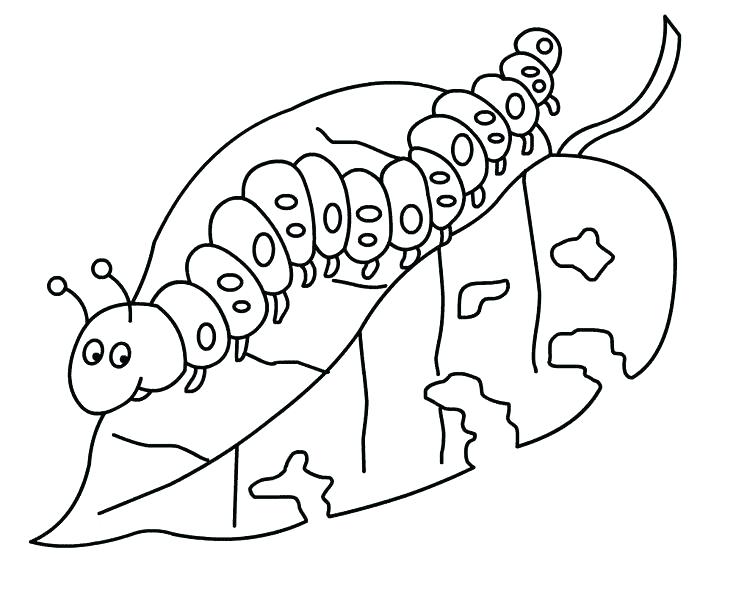 736x597 The Very Hungry Caterpillar Coloring Pages Printables Coloring