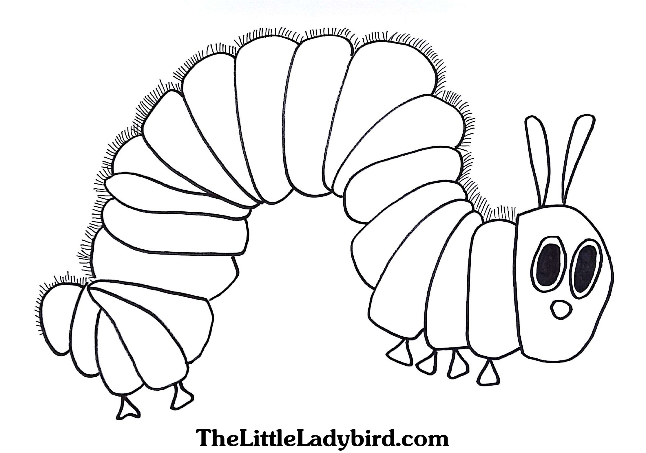 2230x1566 Unusual Caterpillar Picture To Color Coloring