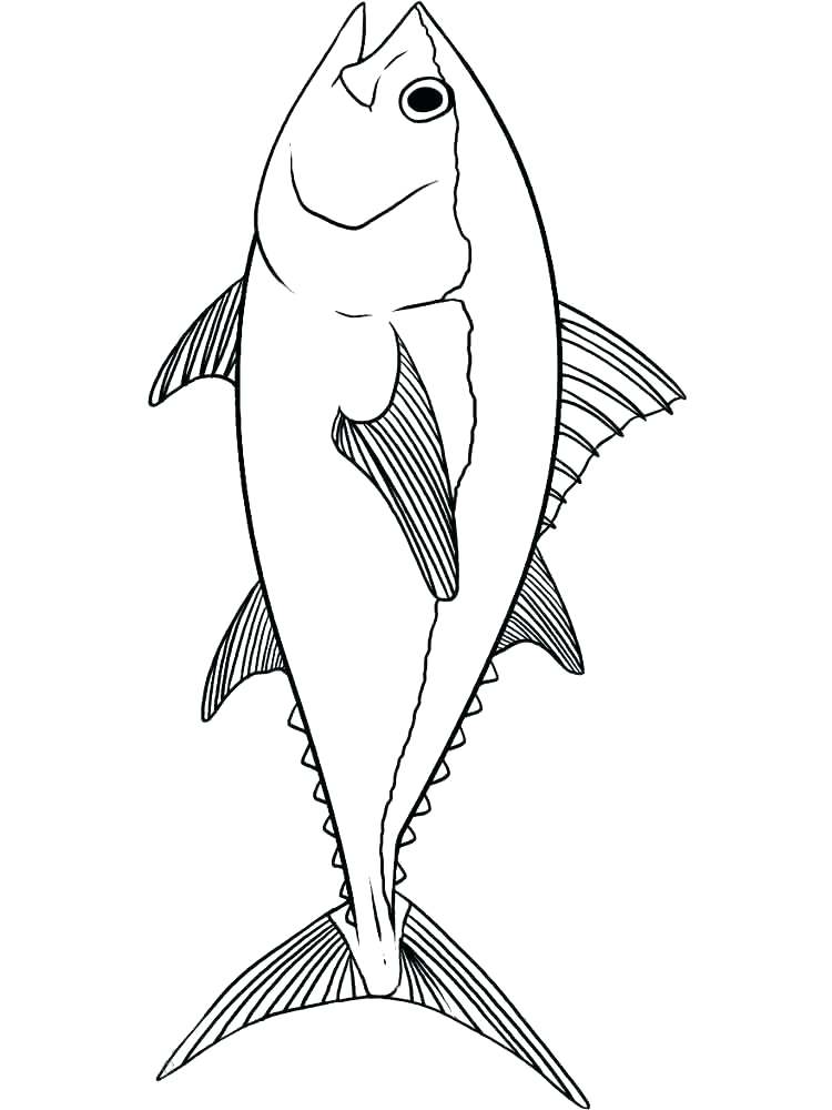 750x1000 Catfish Coloring Page Catfish Coloring Page Catfish Stencil