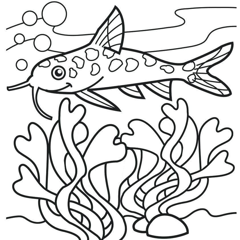 842x842 Catfish Coloring Page Catfish Coloring Page Giant Catfish Coloring