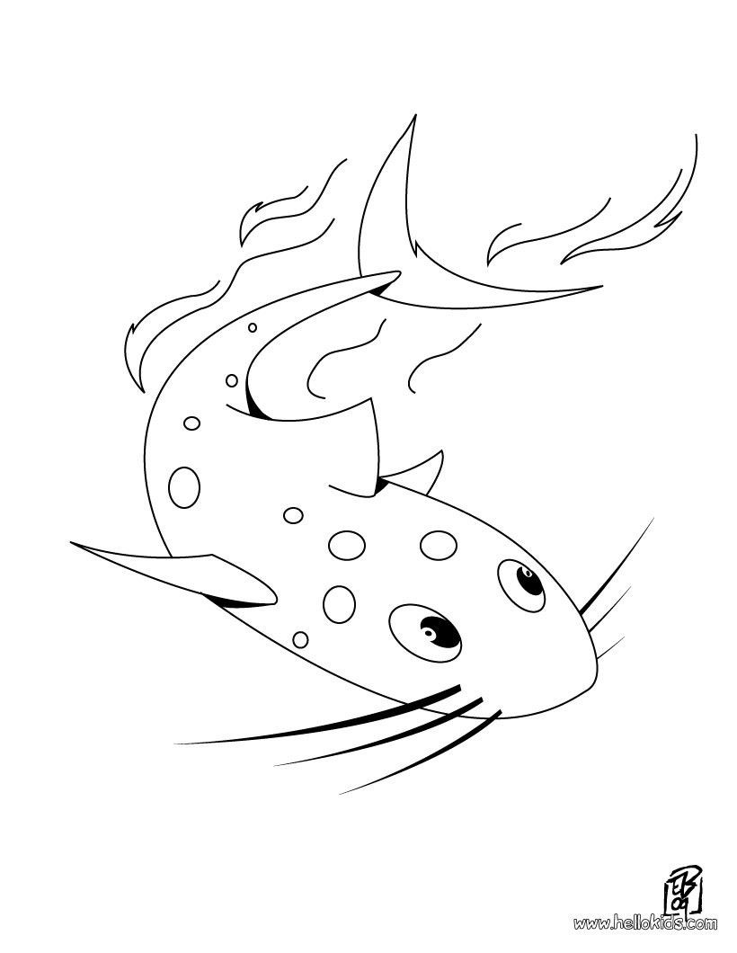 820x1060 Catfish Coloring Page, You Can Print Out This Catfish Coloring