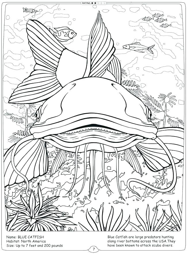 650x882 Catfish Coloring Book Pages