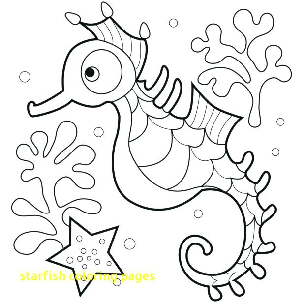 618x618 Starfish Coloring Page Starfish Coloring Pages With Catfish