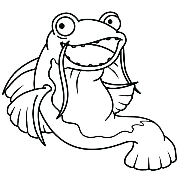 600x600 Catfish Coloring Page Catfish Coloring Page Catfish Big Grin