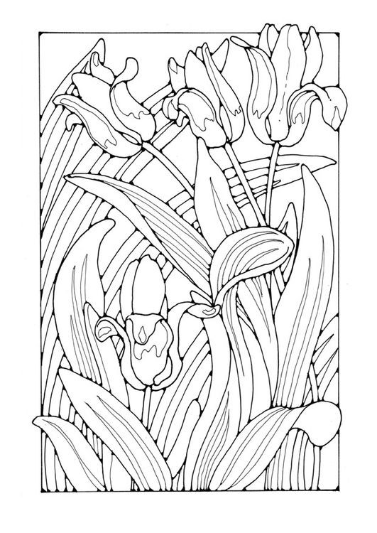 531x750 Cathedral Coloring Pages Inspirational 2867 Best Adult Coloring