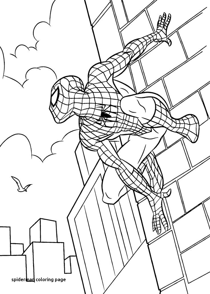 736x1031 101 Best Catoon Coloring Pages Images On For Spiderman