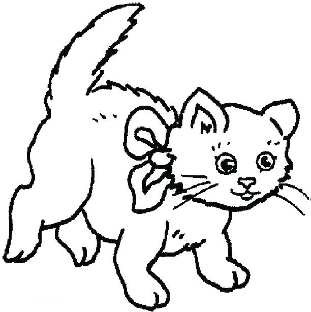 612x614 Cat Printable Coloring Pages Cat Color Page Dog And Cat Coloring