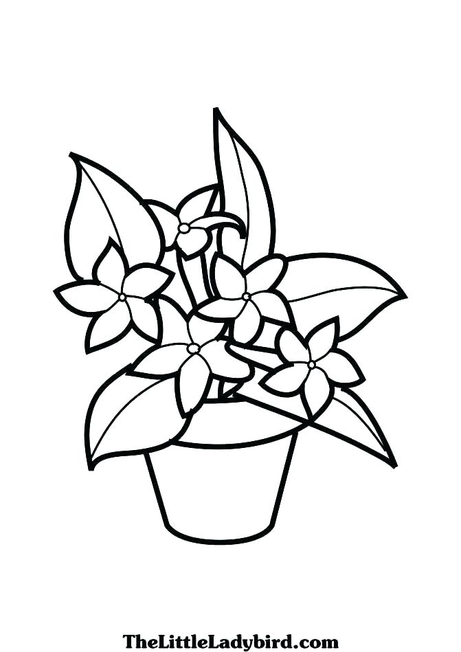 671x949 Get This Plants Vs Zombies Coloring Pages Kids Printable Free
