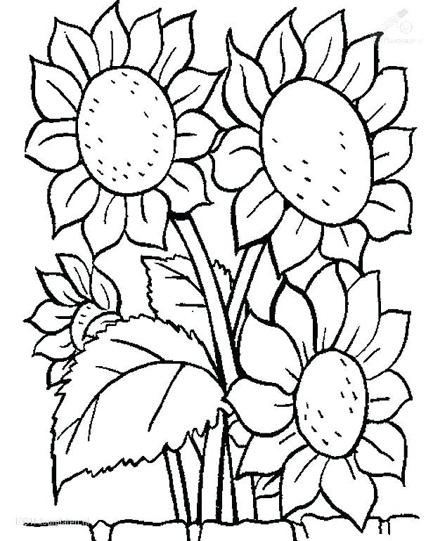 616x770 Plants Coloring Page