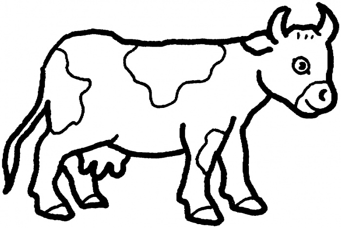700x469 Cow Coloring Pages