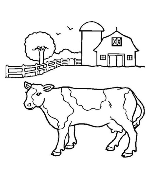 600x734 Barn And A Milk Cow Coloring Page Color Luna