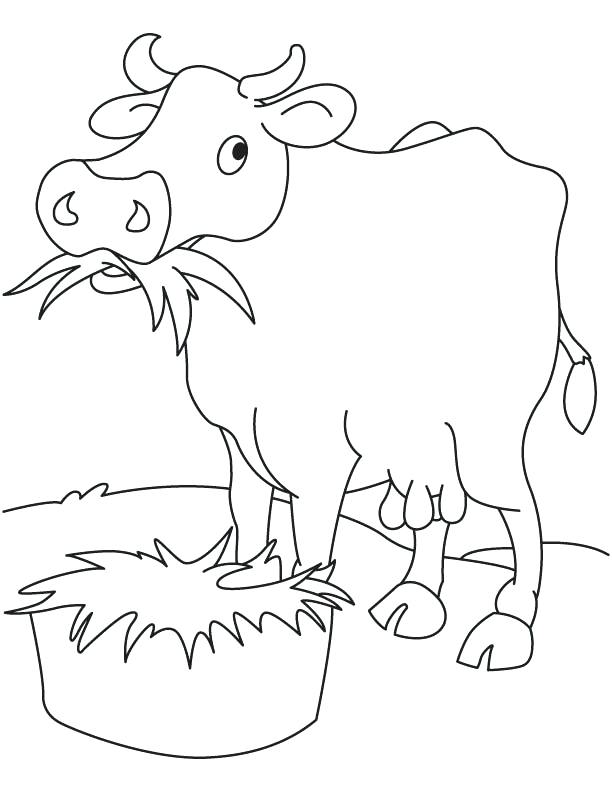 612x792 Cow Coloring Pages For Preschoolers Cute Cow Coloring Pages Cute