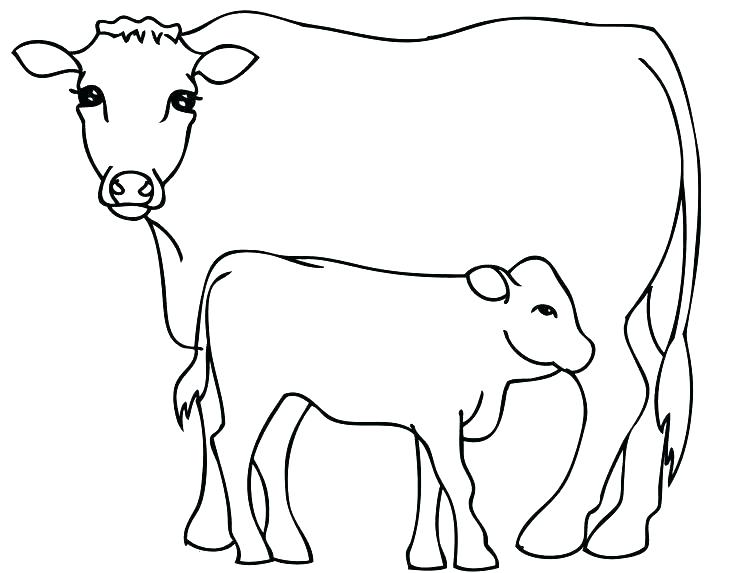 736x573 Inspirational Cow Coloring Pages Print Page In Addition To Cattle